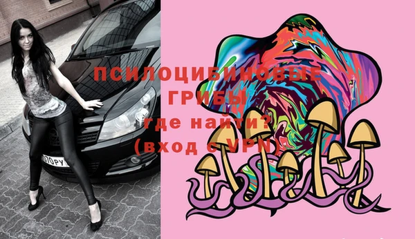 спайс Новодвинск